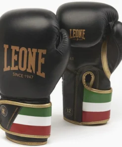 Gants de boxe Leone Italie GN039