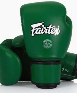 Gants de Muay Thai Fairtex BGV16 Forêt Verte