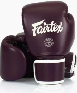 Gants de Muay Thai Fairtex BGV16 Marron