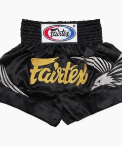 Shorts de kick-thai Fairtex BS0657 Roi du Ciel