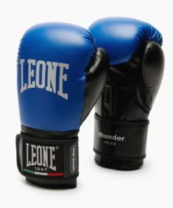 Gants de boxe Leone Thunder GN383