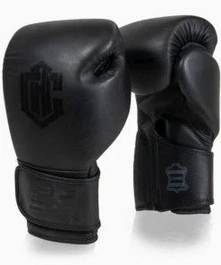 Gants de boxe Combat Arena Heritage 2.0