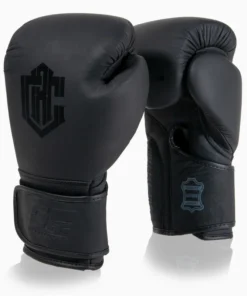 Gants de boxe Combat Arena Heritage Classic 2.0