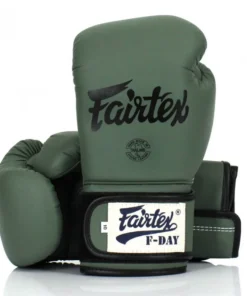 Gants de boxe Fairtex F-Day