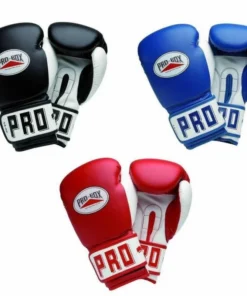 Gants de boxe essentiels Pro Box Club