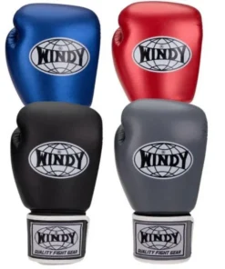 Gants de boxe classiques Windy