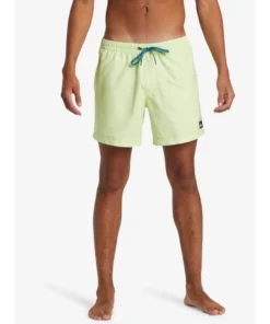 Bañador Quiksilver Everyday Solid Volley 15 Shadow Lime