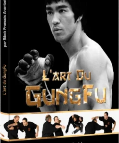 L’art du Gung-Fu – VP Masberg (Livre)
