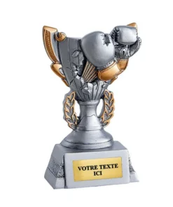 Trophée résine Boxe RS5026
