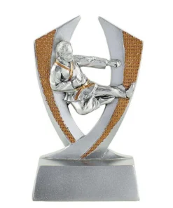 Trophée résine karate