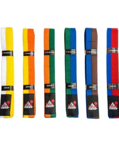 Ceinture Arts Martiaux Bicolore FUJIMAE en Coton résistant