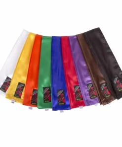 Ceinture satin, foulard de Kung Fu / Viet Vo Dao – FUJIMAE – 15611