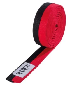 Ceinture Taekwondo Poomsae Kwon – 3010