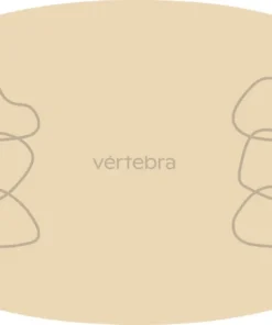 Tabla de Equilibrio VértebraMX®