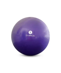 Gymball parme Ø75 cm (boite) Sveltus