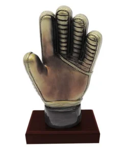 Trofeo Arquero Guante 26