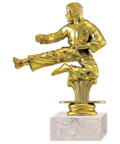 TROFEO KARATE 8416