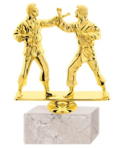 TROFEO KARATE DOBLE 8095