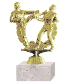 TROFEO ARTES MARCIALES 8015