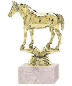 TROFEO CABALLO CHILENO 701