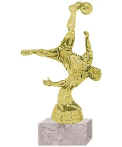 TROFEO FUTBOL CHILENITA 5017
