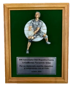 GALVANO TERCIOPELO VERDE FIG 58 VOLEIBOL 19X 24 CM