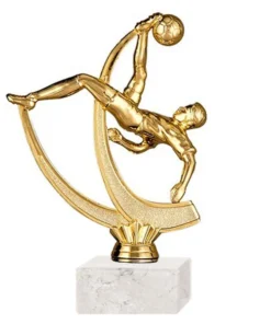 Trofeo FR Futbol Chilena MD 315 18 CM