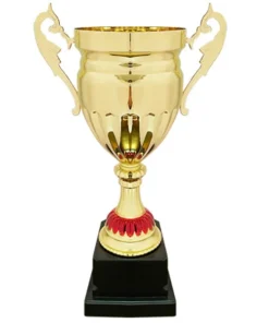 COPA 25119 ORO