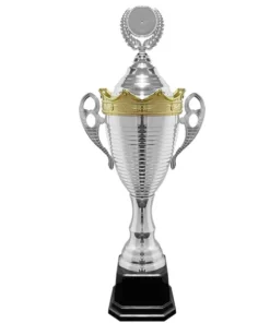COPA H205 PLATA