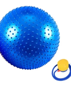 BALON PILATES ERIZO 65CM