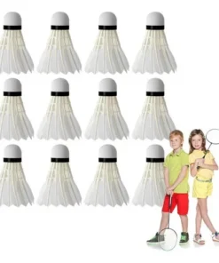 PLUMILLA BADMINTON PLUMA PHOENIX 12 PCS