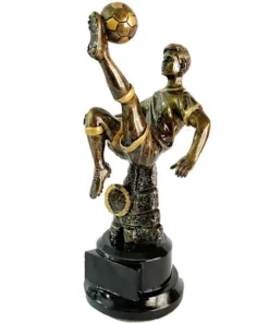 TROFEO RESINA CHILENA RS 303 21 CM