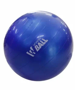 Balón Gimnasia 55CM Wonder