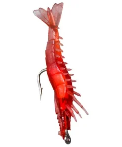 Carnada Pesca Chongjin