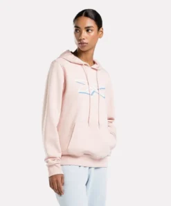 Sudadera con capucha Reebok Vector Graphic