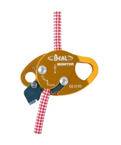 Beal Monitor