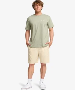 Camiseta Billabong Arch Classic