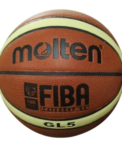 Pelota Molten GL5