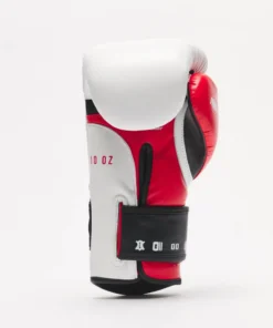 Guantes de Boxeo Leone Il Tecnico 3