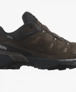 Salomon X Ultra 360 Leather Gore-Tex