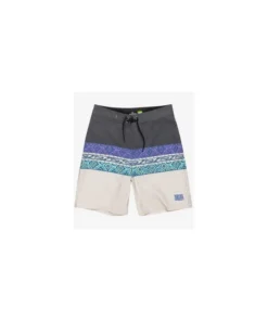 Bañador Quiksilver Everyday Panel Para Niños