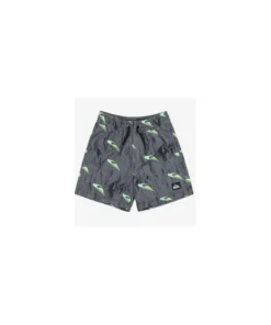 Bañador Quiksilver Next Gen Para Niños