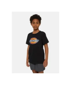 Camieta Dickies Youth Logo Para Niños
