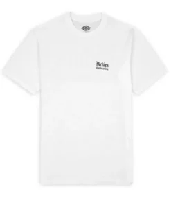 Camiseta Dickies Skate Para Hombre