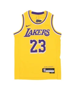 Camiseta Jordan Lakers Lebron James JR