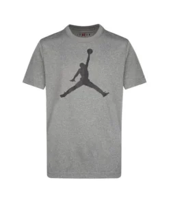 Camiseta Niño Jordan Df Gris