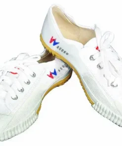 Zapatos de Kung Fu