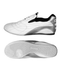 Zapatos de Taekwondo