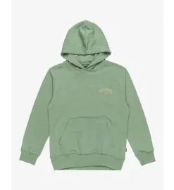 Sudadera con capucha Billabong Youth Foundation Moss (8-16 años)