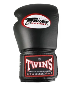 Gants de boxe Twins BG-N V1